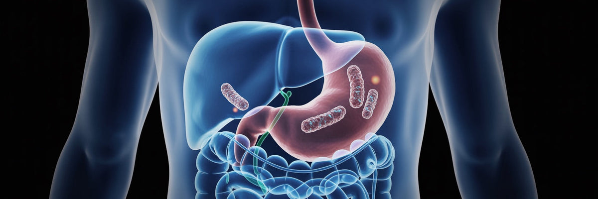 Infezioni e malattie Gastrointestinali